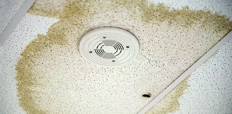 Storm damage caused leaks to roof