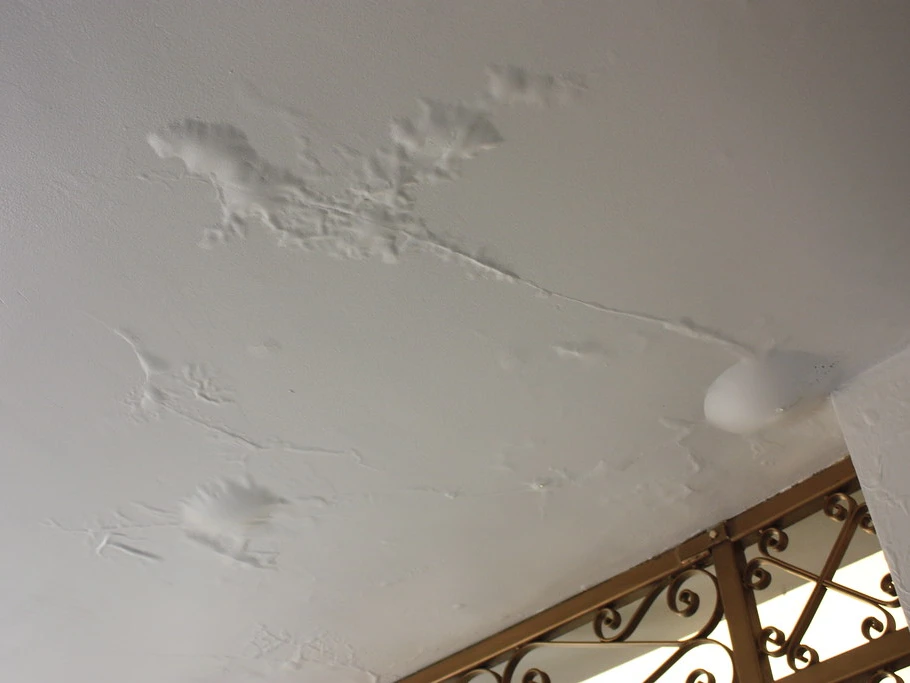 Ceiling and roof damage