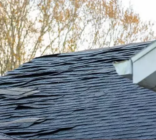 Curled shingle roof