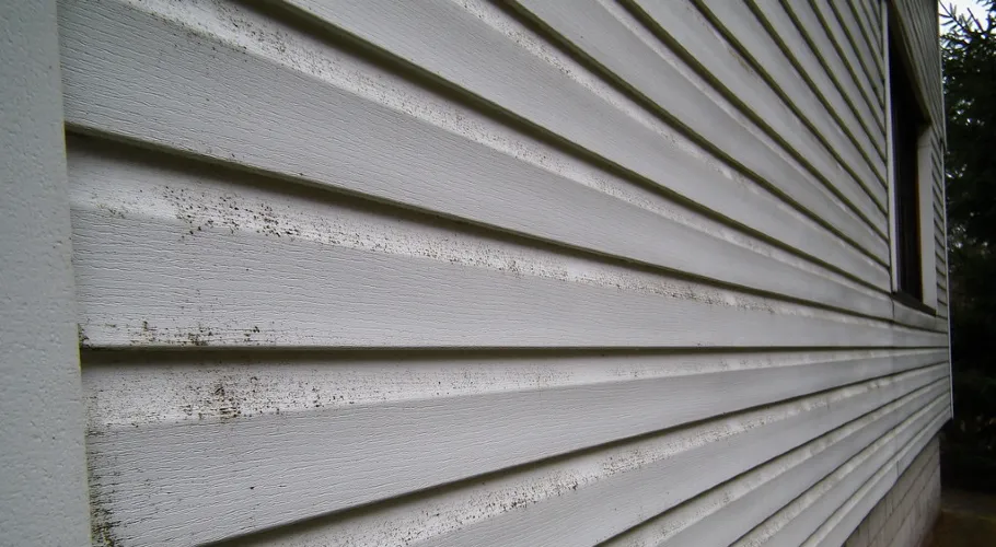 How To Clean Vinyl Siding