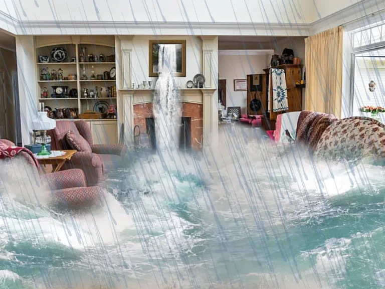 My Roof is Leaking What Should I Do