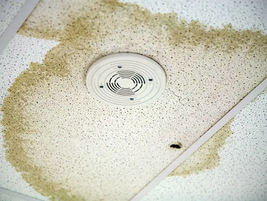 Water stains of leaky roof
