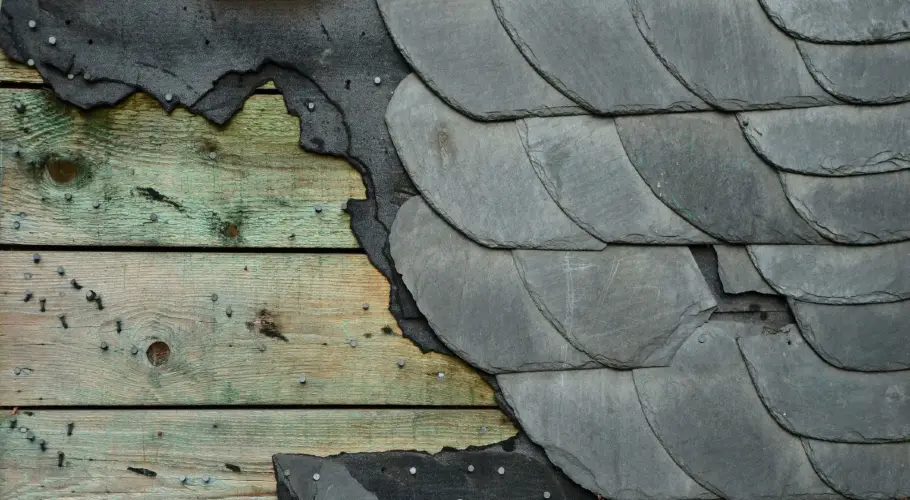Slate roof shingles