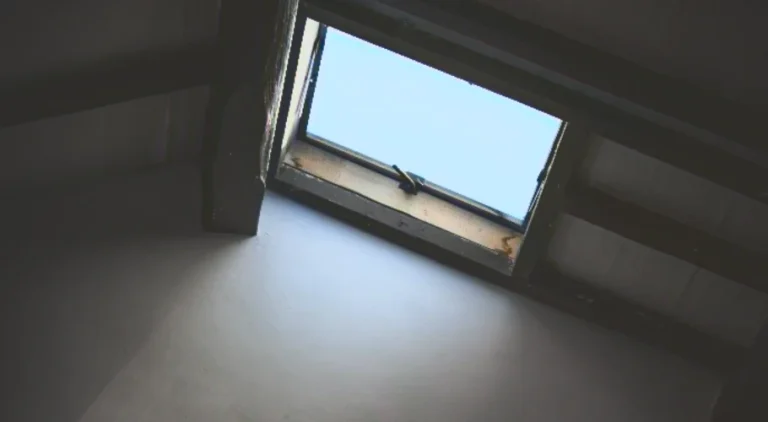 Skylights Adding Natural Light to Your Home