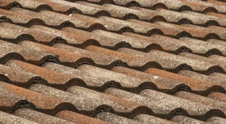 Summer Roofing Maintenance Tips for a Cool Home