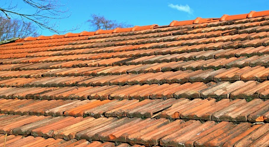 clay red shingles