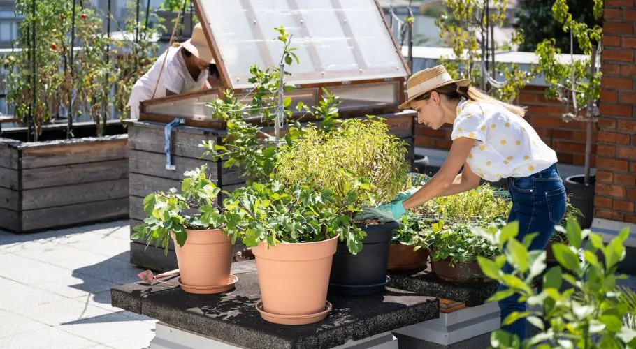 Ideas for building walls with green and plantings.