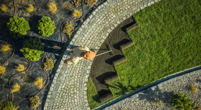 Roof Landscaping Do's and Don'ts to Protect Your Roof