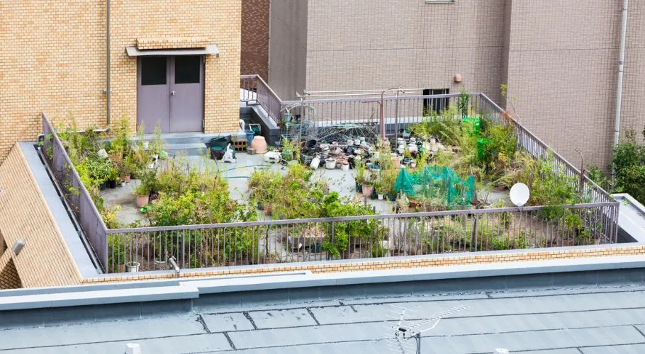Rooftop landscaping is perfect for an outdoor kitchen.