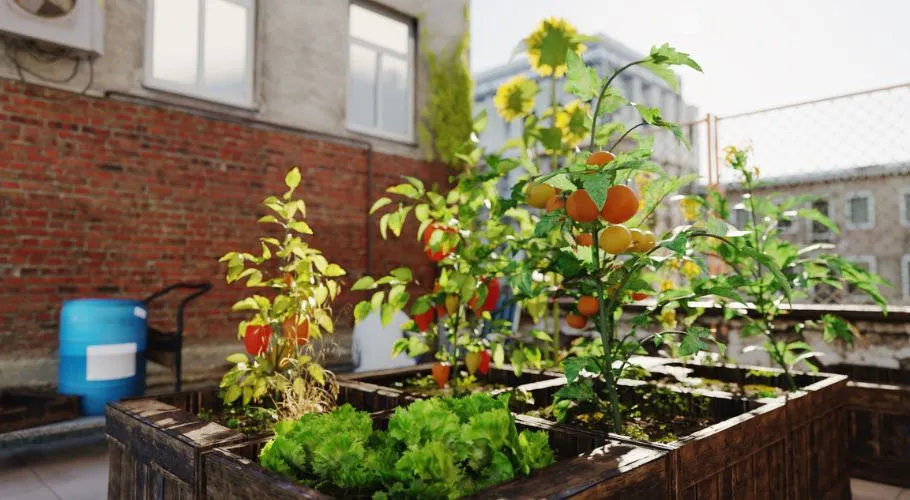 Rooftop landscaping on buildings in the city like NYC is popular.