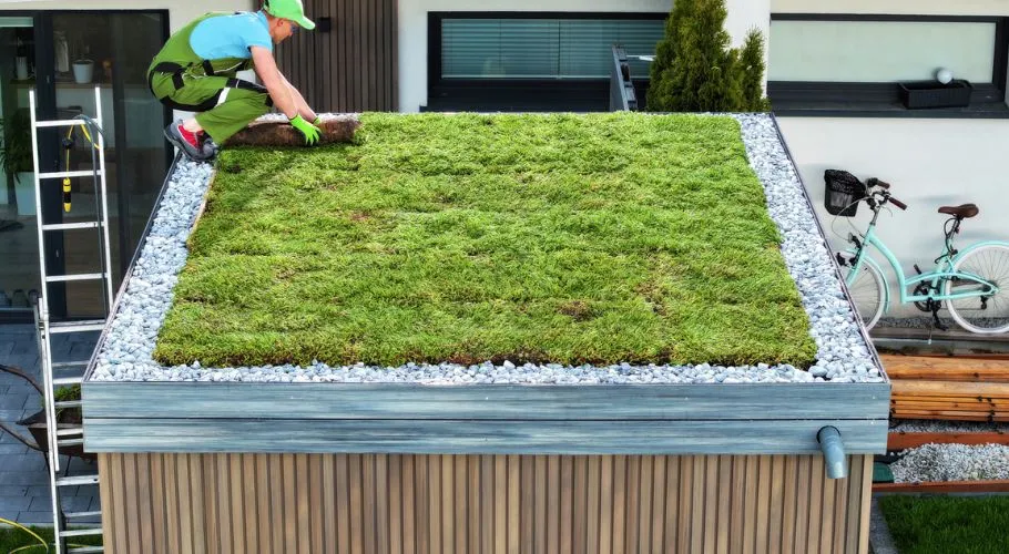 Go with green roofs to reduce heat and air pollution and greenhouse gas emissions