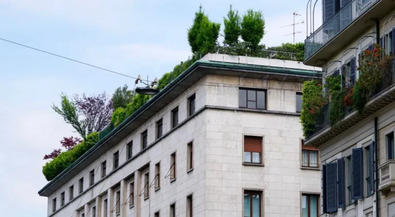 The Top 5 Benefits of a Green Roof Installation
