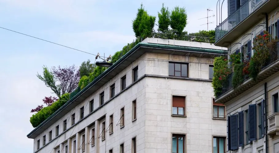 The Top 5 Benefits of a Green Roof Installation