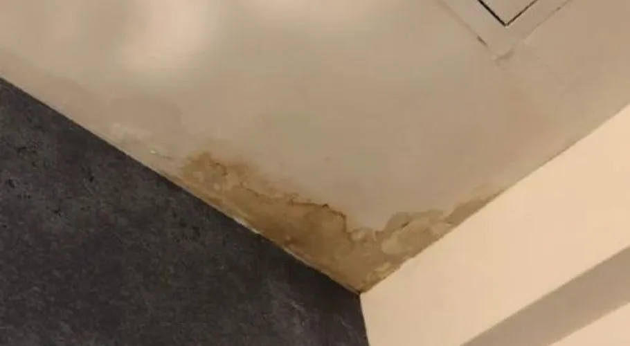ceiling with leak or water stains