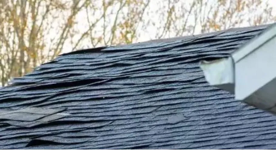 damaged roof shingles