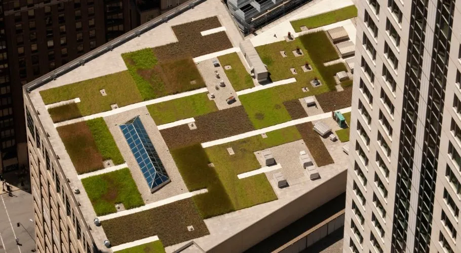 green roof cost