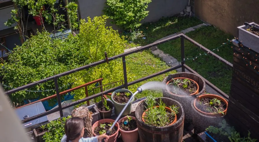green roofs photo gallery