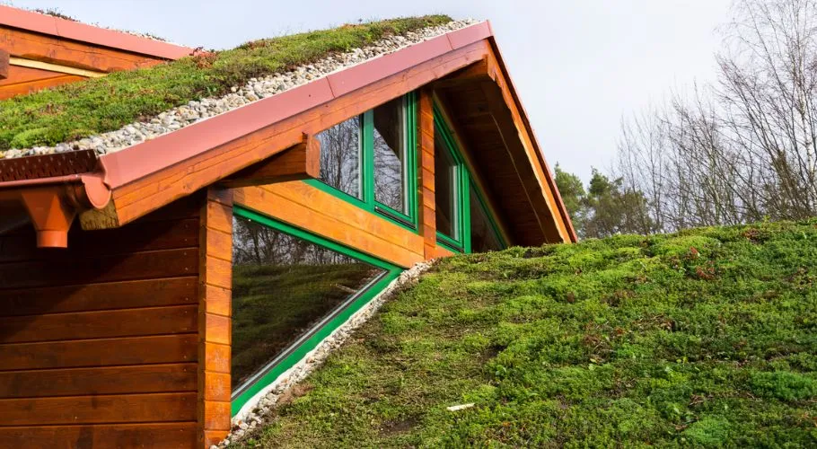 live in your natural habitat by going green roof