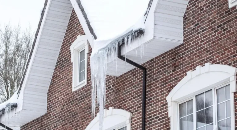 Winter Roof Protection
