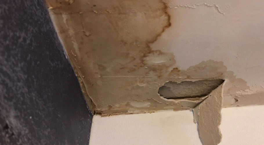 Roof Water Infiltration