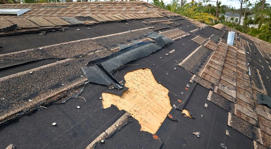 damage roof