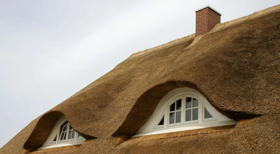 Thatch Roofs are eco concious
