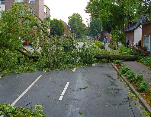 Fallen branches line the streets, a stark reminder of the storm’s impact