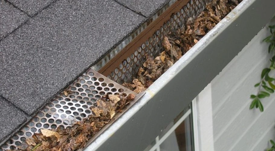 Gutters with a gutter guard.