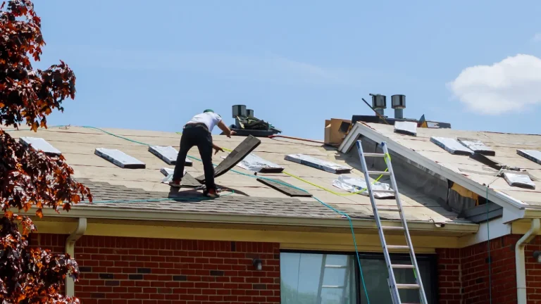 Roof Repair Information Hub