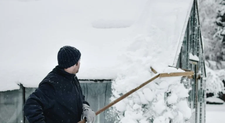 Snowy Roofs and Christmas Magic