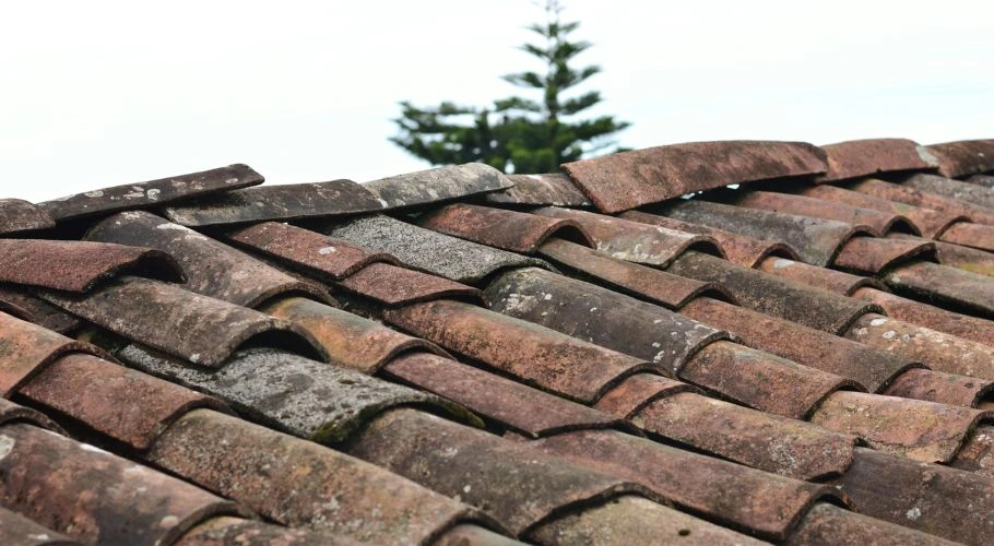 damaged shingles