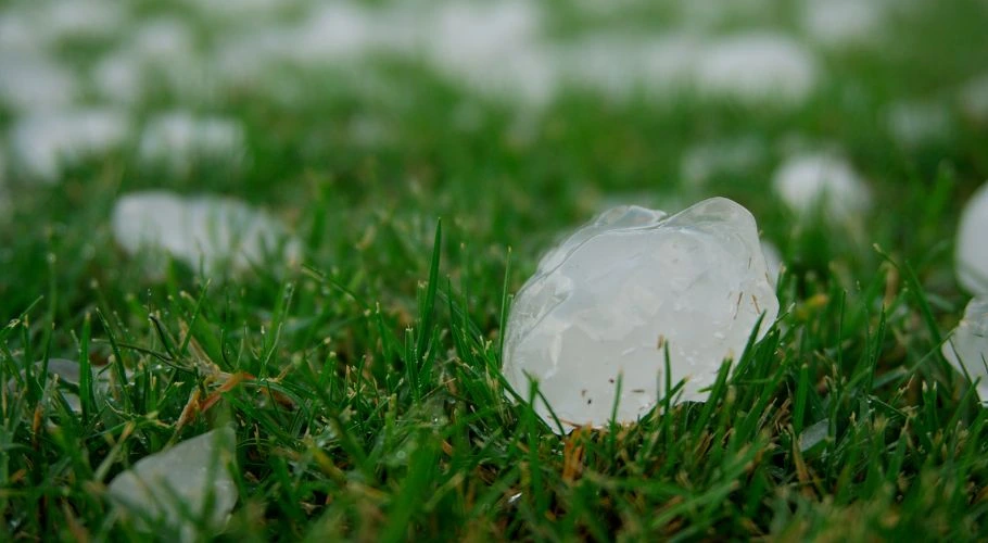 hailstones in the grass