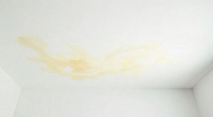 white ceiling with brownish-yellowish water stains