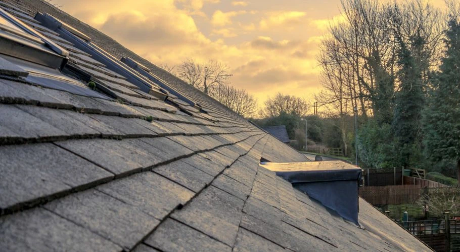 wet asphalt shingles