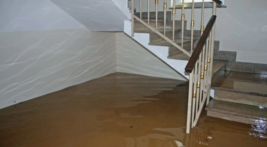 flooded basement