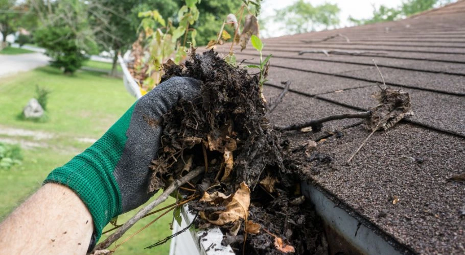 professional cleaning fall leaves